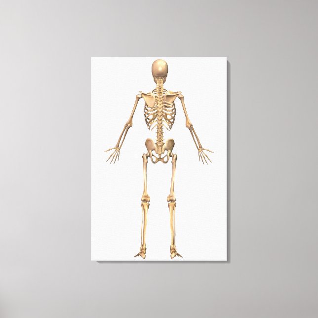 System des menschlichen Skeletts, Rückseite Leinwanddruck (Vorderseite)