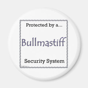 Système de sécurité Bullmastiff - Magnet