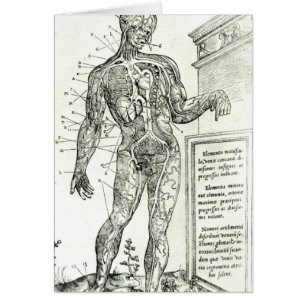 Système vasculaire selon Charles Etienne