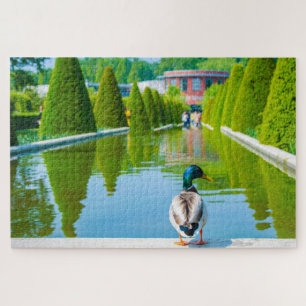 Szene aus Keukenhof Park mit Ente, Niederlande