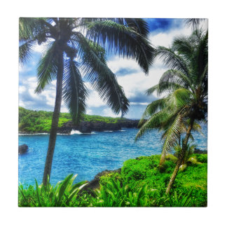 Szene des Hawaiianer-IMG_1122 4 Fliese