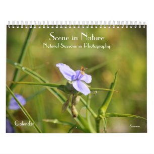 Szene in Naturzeiten in Fotografiekalender Kalender
