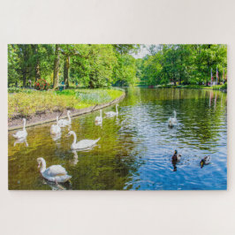 Szene mit Schwänen aus dem Keukenhof Park, Niederl