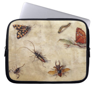 T31567 eine Studie der verschiedenen Insekten, der Laptopschutzhülle