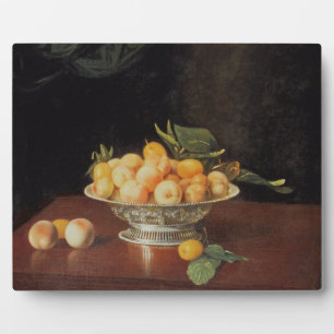 T32176 Still Life of Paches, c.1700 Fotoplatte