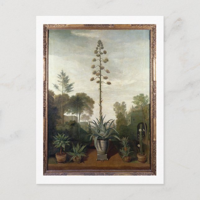 T33047 A Botanischer Garten Postkarte (Vorderseite)