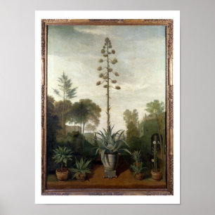 T33047 ein botanischer Garten Poster