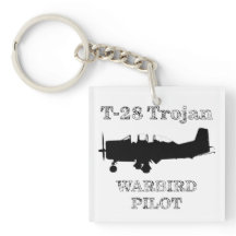 T-28 Trojan-Warbird-Pilot