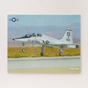 T-38C TALON (16x20 Zoll)