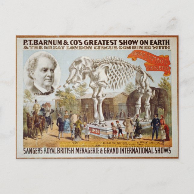 T.P. Barnum Show carte postale (Devant)