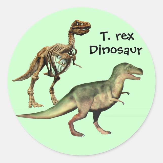 T. rex Dinosaur-Aufkleber Runder Aufkleber (Vorderseite)
