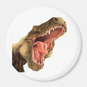 T-REX Dinosaurier-Lockermagnete, Kühlschrank Magnet