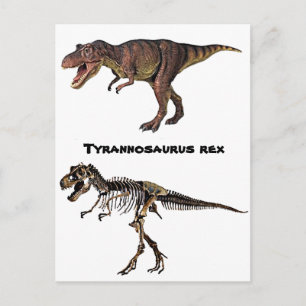 T-rex Flesh-n-Bone, Carte postale