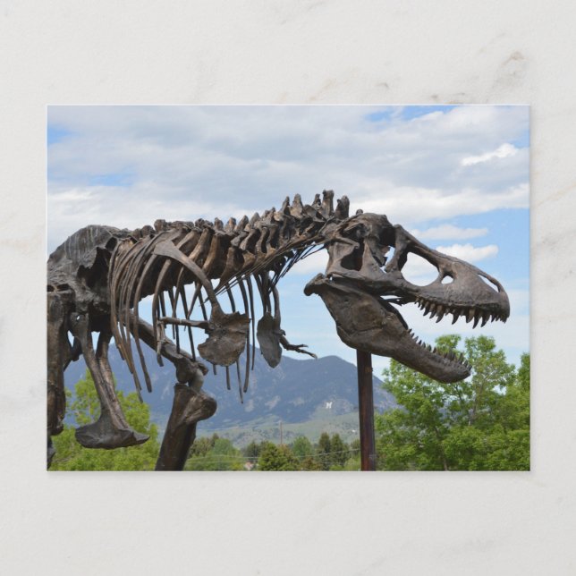 T-Rex Postkarte (Vorderseite)