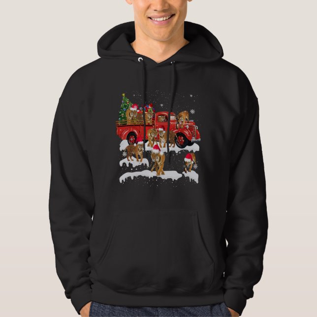 T-rex Riding Red Truck Weihnachtsbaum glauben Sant Hoodie (Vorderseite)