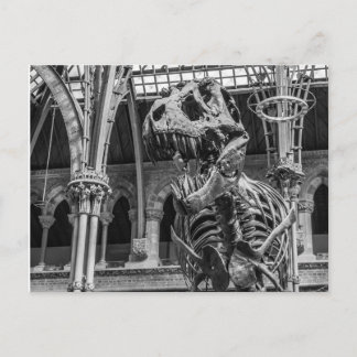 "T-Rex Skelet" Postkarten
