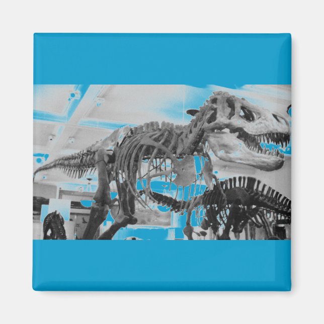 T-Rex Skelettstift Magnet (Vorne)
