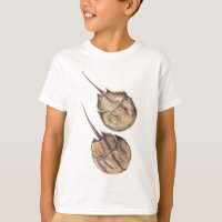T - Shirt