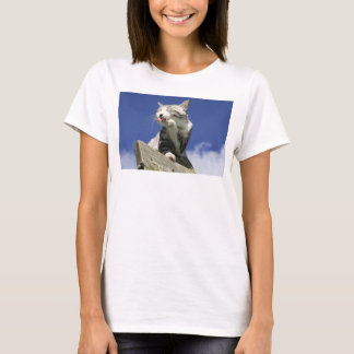 T-SHIRT 野良猫ニャン吉【青空眩しいぜ!】