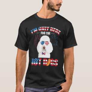 T-shirt 01 Je ne suis ici que pour les Hot Dogs American P