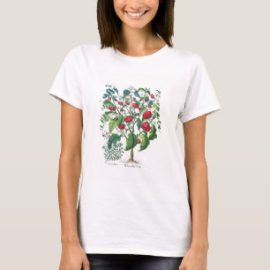 T-shirt 1.Solanum Pomiferum; 2.Amaracus vulgaris, from the