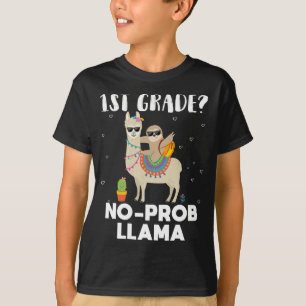T-shirt 1ère classe no prob llama