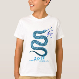 T-SHIRT 2013