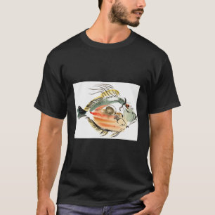 T-shirt A John Dory fish394