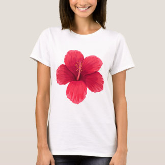 T-Shirt à manches courtes pour femmes Cicy Bell –