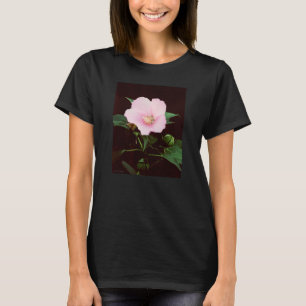 T-shirt à manches longues pour dames rose Mallow