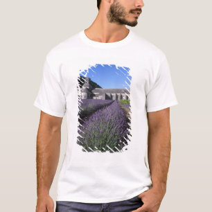 T-shirt Abbaye de Sénanque, Gordes, Vaucluse, Provence,