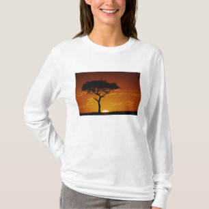 T-shirt Acacia tortilis, Acacia tortilis,