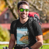 Acadia National Park Bar Harbour Lighthouse Vintag