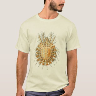 T-shirt Acarides