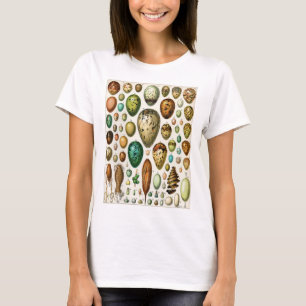 T-shirt Adolphe Millot OEufs Vintages d'oiseaux français
