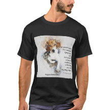 Adopter Un Abri - Beagle