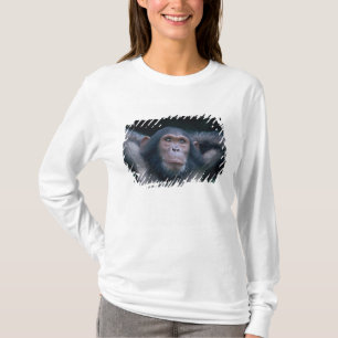 T-shirt Afrique, Afrique orientale, Tanzanie, Parc nationa
