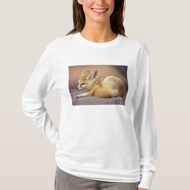 T-shirt Afrique du Nord. Fennec Fennecus zerda) (Devant)