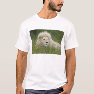 T-shirt Afrique du Sud, East London, Inkwenkwezi Private
