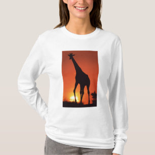 T-shirt Afrique du Sud, Kruger NP. Giraffe (Giraffa