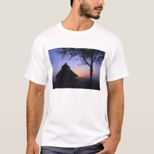 T-shirt Afrique, Éthiopie, région du fleuve Omo, coucher