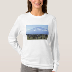 T-shirt Afrique, Kenya, Parc national d'Amboseli, Troupeau