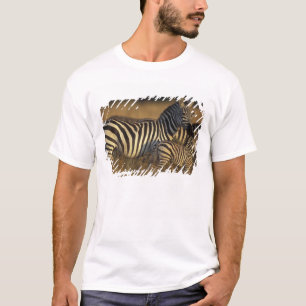 T-shirt Afrique, Kenya, réserve de Masai Mara. Plaines