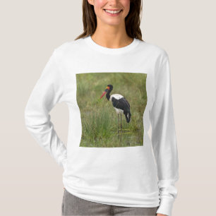 T-shirt Afrique. Tanzanie. Cigogne à Saddle-billed mâle