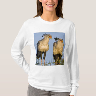 T-shirt Afrique. Tanzanie. Secrétaire Birds à Ndutu