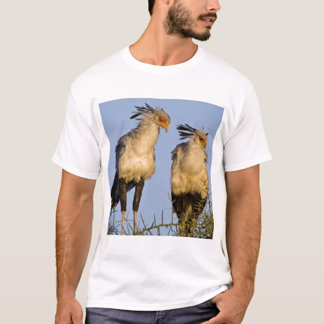 T-shirt Afrique. Tanzanie. Secrétaire Birds à Ndutu (Devant)