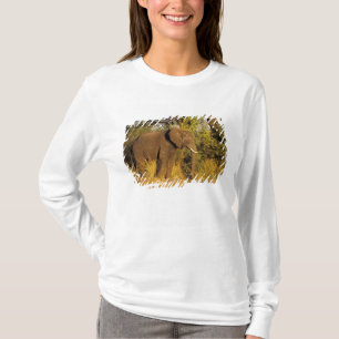 T-shirt Afrique, Zimbabwe, Parc national des chutes Victor