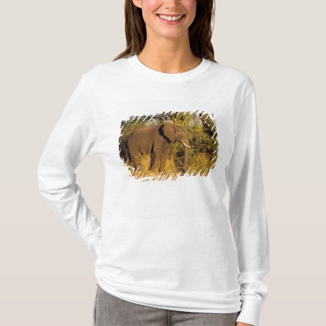 T-shirt Afrique, Zimbabwe, Victoria Falls National Park. (Devant)