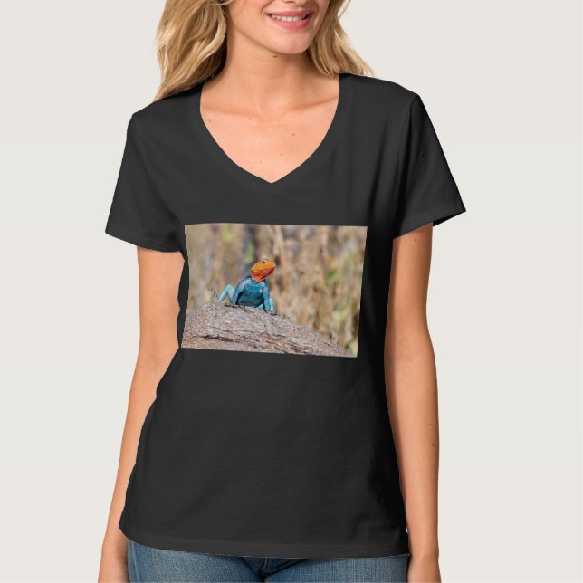 T-shirt Agama commun (Devant)