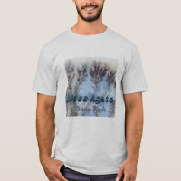 Agate de mousse - chemise de roche de bleus